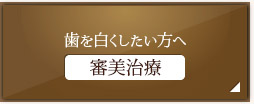 歯を白くしたい方へ 審美治療